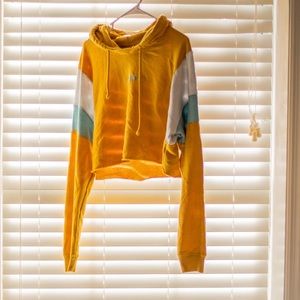 Hollister Crop Top Hoodie